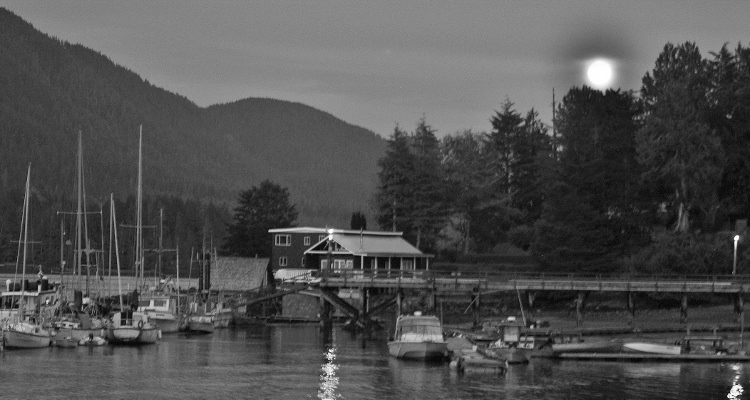 moonlit inlet